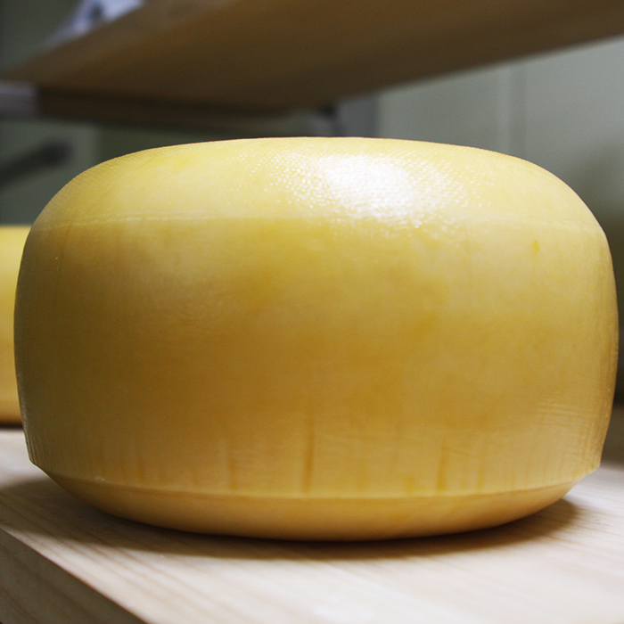 [62] 고다 치즈 원형 큰 덩어리 약 5kg썬러브치즈충남 천안둘러앉은밥상