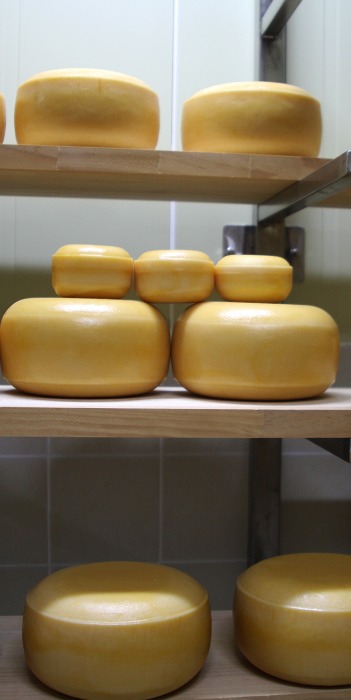 [61] 고다 치즈 원형 귀염 덩어리 약 500g썬러브치즈충남 천안둘러앉은밥상