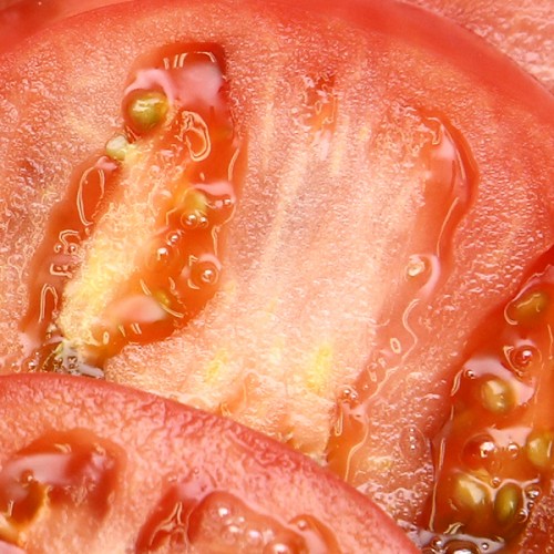 [3] 과즙이 슈류류츕파   [유기농 토마토4kg]자체브랜드아산시 둘러앉은밥상